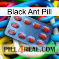 Black Ant Pill 06